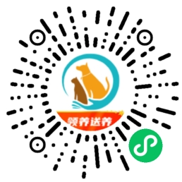 易领宠小程序码